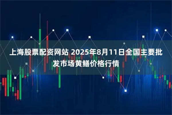 上海股票配资网站 2025年8月11日全国主要批发市场黄鳝价格行情