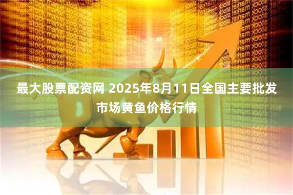 最大股票配资网 2025年8月11日全国主要批发市场黄鱼价格行情