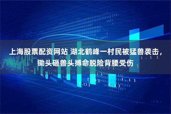 上海股票配资网站 湖北鹤峰一村民被猛兽袭击，锄头砸兽头搏命脱险背腰受伤