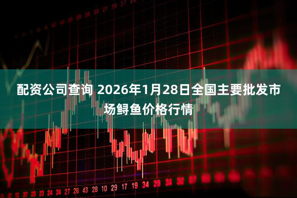 配资公司查询 2026年1月28日全国主要批发市场鲟鱼价格行情