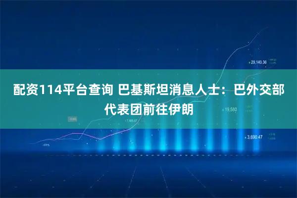 配资114平台查询 巴基斯坦消息人士：巴外交部代表团前往伊朗